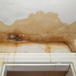 Les fuites d’eau : comprendre, localiser et réparer.