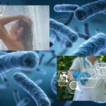 La légionelle : comprendre les risques et prévenir l’infection