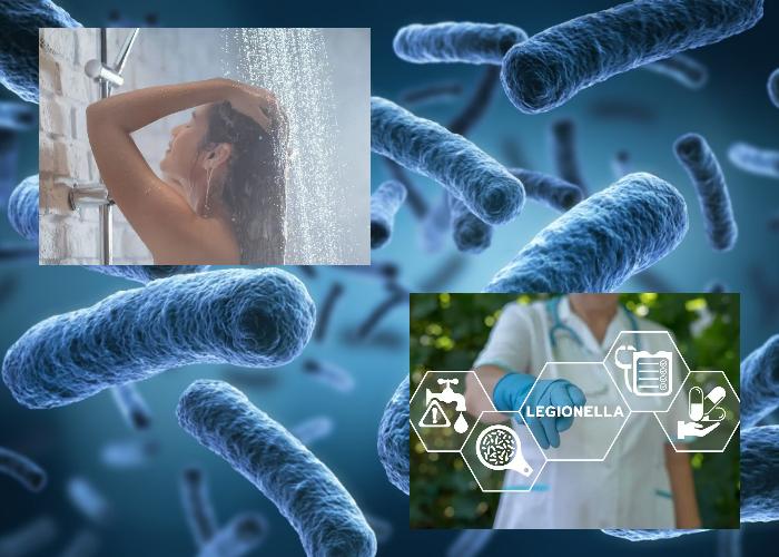 La légionelle : comprendre les risques et prévenir l’infection